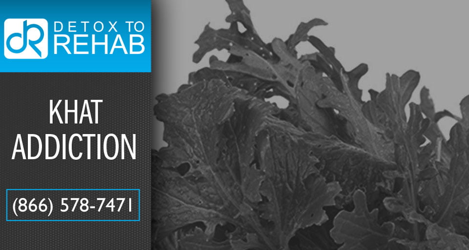 Khat Addiction and Rehabilitation Detox To Rehab