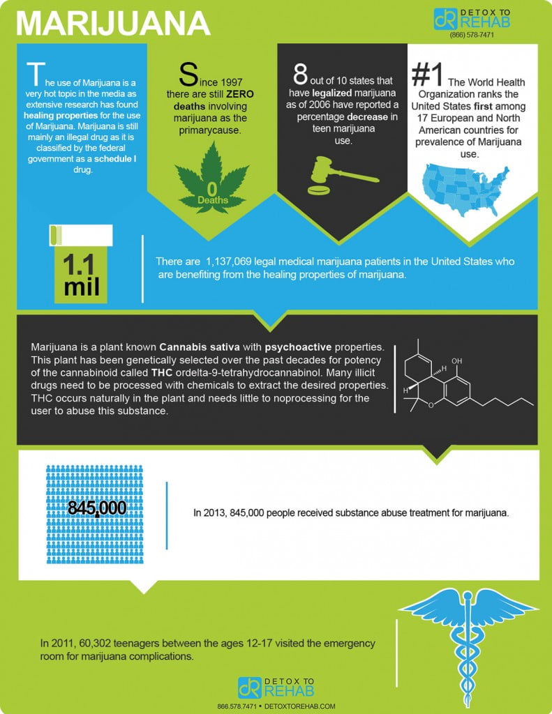 Marijuana Infographic Detox To Rehab