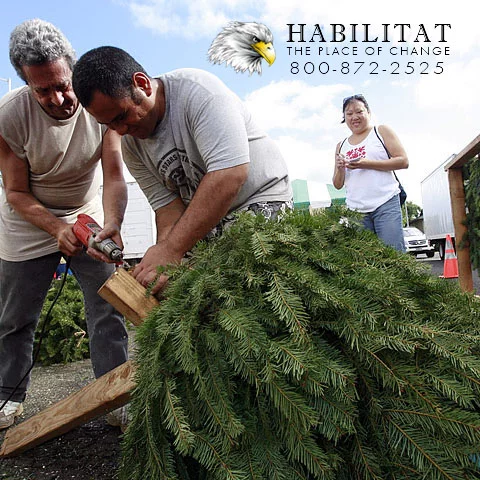 Habilitat Logo