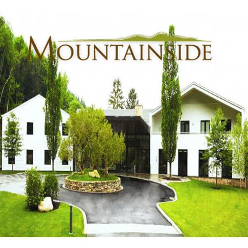 Mountainside