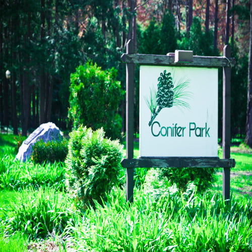Conifer Park Logo