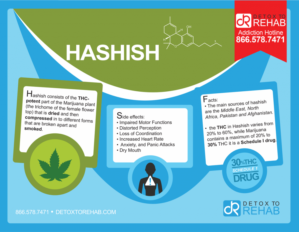 Hashish Infographic Detox To Rehab