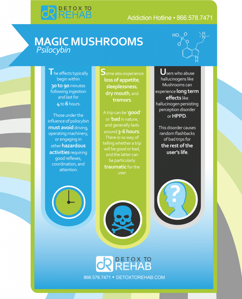 Magic Mushrooms Infographic Detox To Rehab