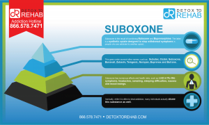 Suboxone Infographic - Detox To Rehab