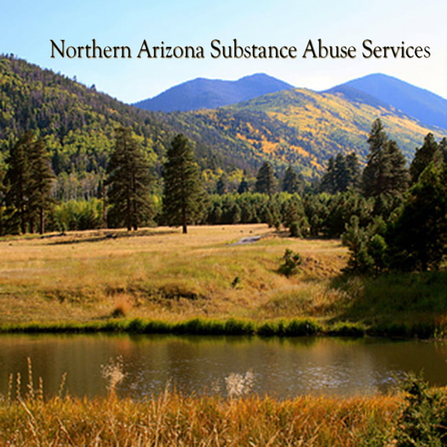Northern Arizona Substance Abuse Services Logo