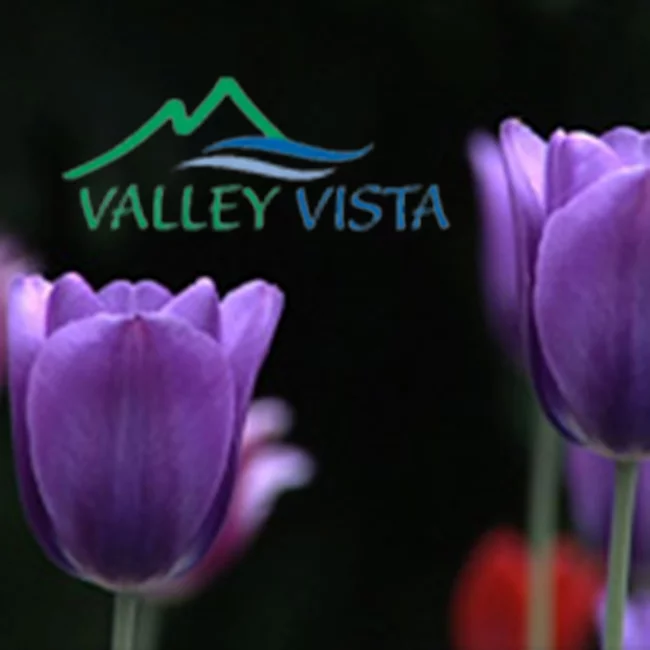 Valley Vista