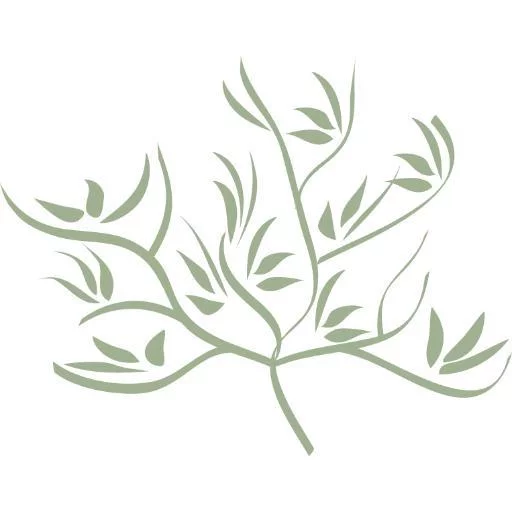 Sage Neuroscience Center