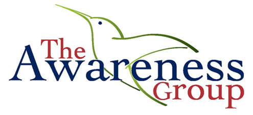 The Awareness Group Logo