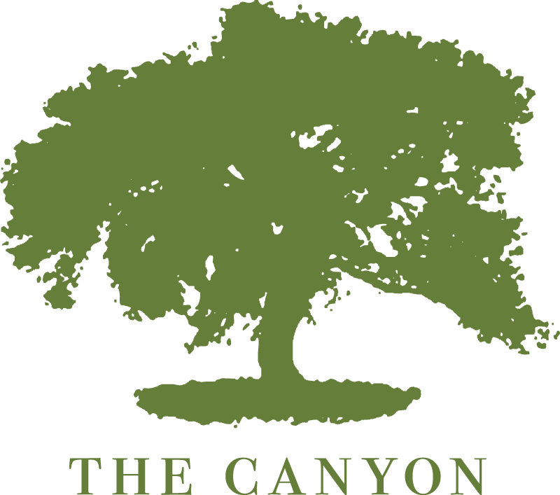 The Canyon Logo