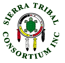 Sierra Tribal Consortium, Turtle Lodge Logo