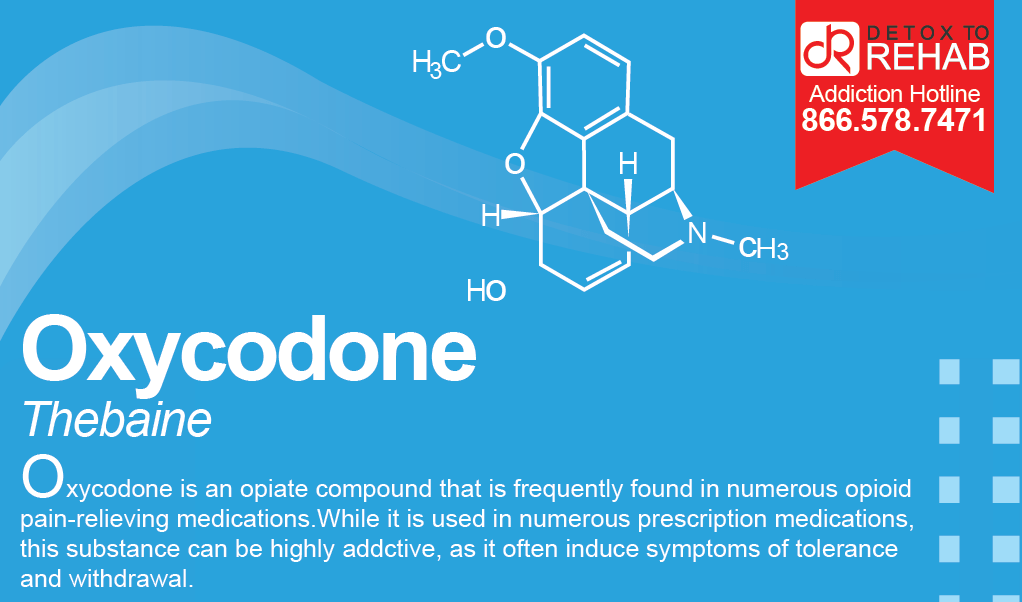 Oxycodone Infograph