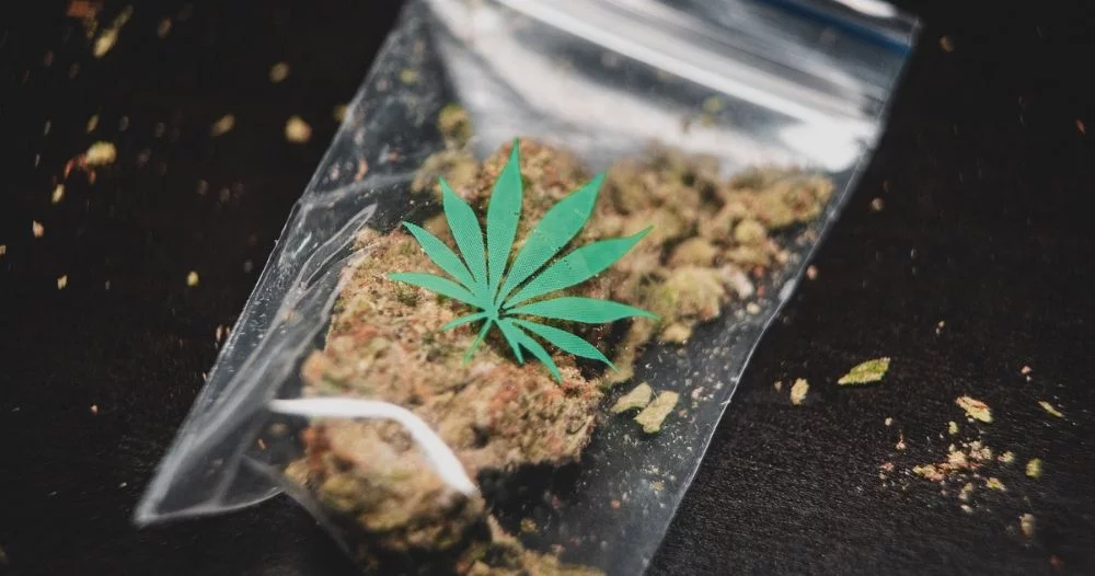 Cannabis - A Schedule 1 Drug
