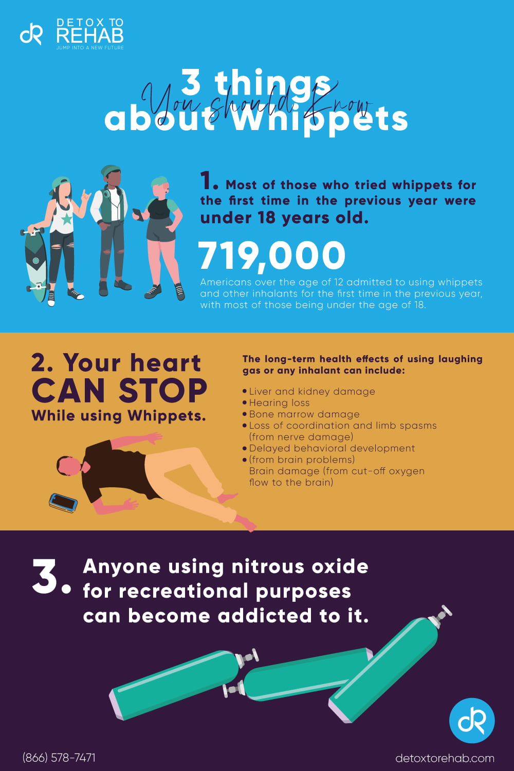 3 Things You Should Know-About Whippets Infographic