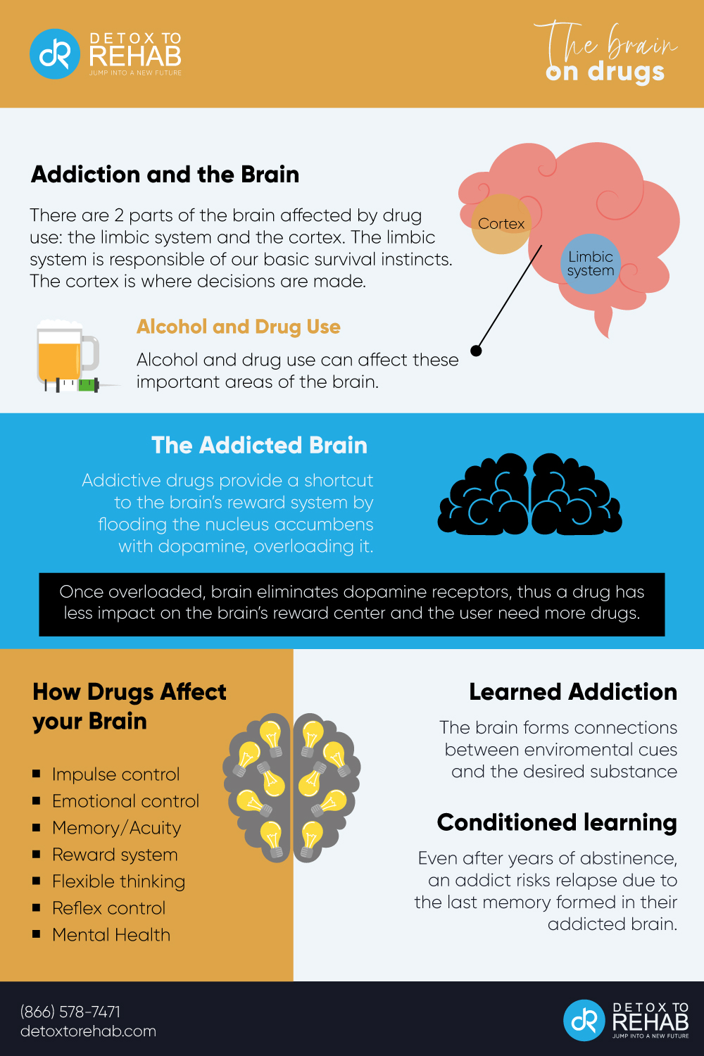 The Addicted Brain infographic